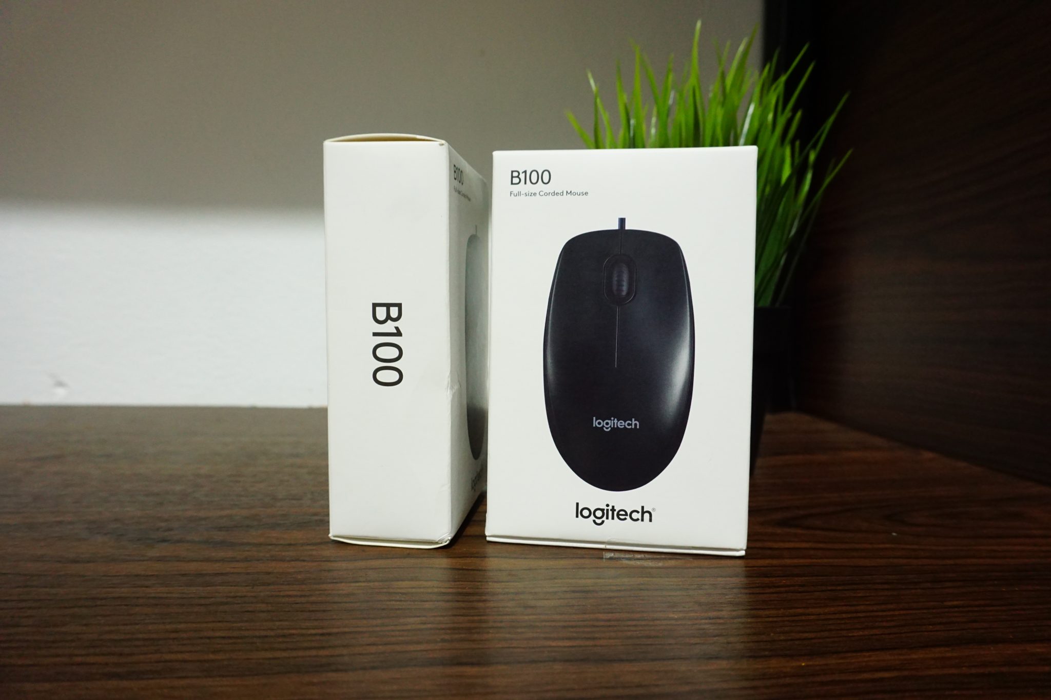 Mouse Logitech B-100 – Antero Stationery Shop